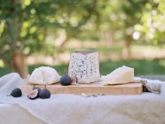 Table with food, a cheese board. — Stock Photo