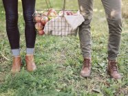 Couple carrying a basket of apples. — Stock Photo