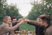 People toasting with a glasses of cider — Stock Photo