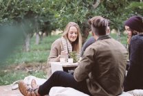 People sitting on the ground in Apple orchard — Stock Photo