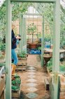 Mujer en un invernadero, rodeada de plantas . - foto de stock
