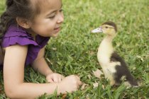 Girl looking closely at a young duckling — Stock Photo