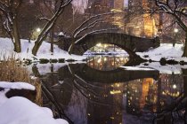 Gapstow Bridge in Central Park — Stock Photo