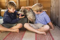Brothers playing with dog — Stock Photo