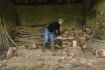 Homem cortando madeira com machado — Fotografia de Stock