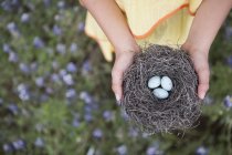 Girl holding out a woven bird nest — Stock Photo