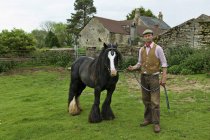 Сельскохозяйственный работник держит лошадь — стоковое фото