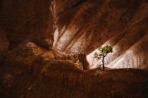 Landscape of Bryce Canyon — Stock Photo