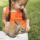 Niño con un conejo marrón - foto de stock