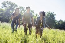 Man and two women walking in a meadow — Stock Photo