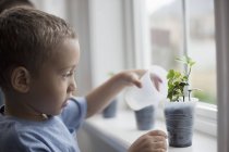 Мальчик поливает молодые растения — стоковое фото