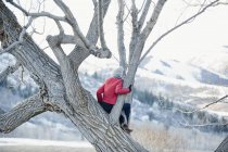 Ragazza seduta su un albero — Foto stock
