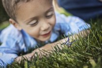 Хлопчик вивчає метелика — стокове фото