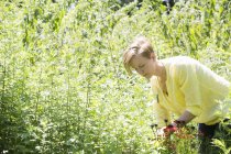 Junge Frau im Blumenbeet — Stockfoto