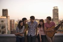 Freunde versammelten sich auf einer Dachterrasse — Stockfoto