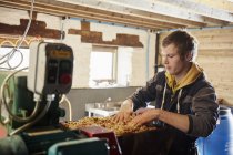Uomo lavorazione mele sidro — Foto stock