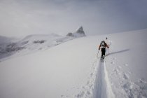 Skiers ascending a ridge — Stock Photo