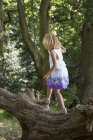 Jeune fille dans la forêt . — Photo de stock