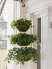 Hanging basket with three tiers — Stock Photo