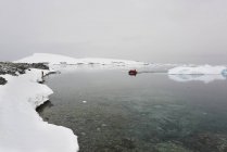 Группа людей в резиновой лодке в Антарктике . — стоковое фото