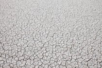 Сухая трещина на поверхности пустыни — стоковое фото