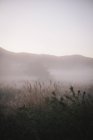 Mist rising from the river — Stock Photo