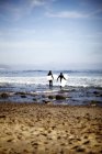 Surfistas na borda da água inspecionando as ondas — Fotografia de Stock