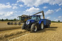 Combine harvester delivering harvested grain — Stock Photo