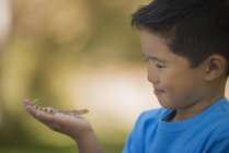 Junge hält einen Gecko — Stockfoto