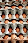 Bandejas de huevos ecológicos - foto de stock
