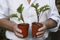 Jardinero sosteniendo dos ollas - foto de stock