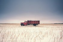 Сельскохозяйственный грузовик в соломенном поле — стоковое фото