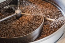 Maschinen in einem Schuppen zur Verarbeitung von Kaffeebohnen — Stockfoto