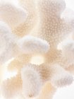 Delicate textured cream coloured objects — Stock Photo