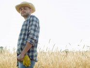 Hombre de pie en un campo de trigo - foto de stock