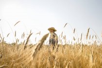 Agricultor de pie en un campo de trigo - foto de stock