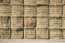 Stack of hay bales — Stock Photo