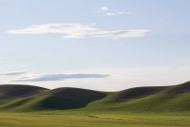 Катящиеся зеленые холмы — стоковое фото