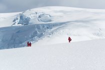 Три человека стоят на льду — стоковое фото