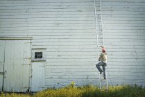 Человек, взбирающийся по лестнице — стоковое фото