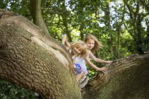 Duas meninas escalando uma árvore — Fotografia de Stock