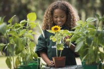 Girl examining a sunflower plant — Stock Photo