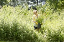 Donna tra fitte piantagioni di fiori — Foto stock