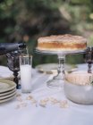 Celebration picnic, a cake — Stock Photo