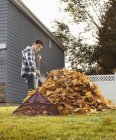 Menino raking folhas de outono . — Fotografia de Stock