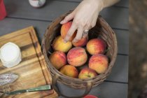 Стол для пикника с корзиной свежих персиков — стоковое фото