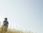 Homem de pé em um campo de cultivo de trigo — Fotografia de Stock
