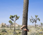 Mann umarmt Baum — Stockfoto