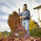 Hombre rastrillando hojas de otoño caídas - foto de stock