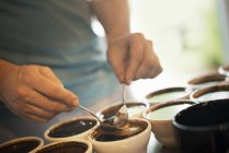 Процедура вибірки в кавовій оранжереї — стокове фото